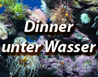 Dinner unter Wasser